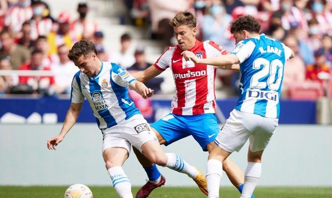 体条件并不 体条件并不