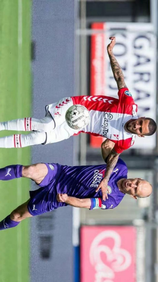 共同构成了 共同构成了