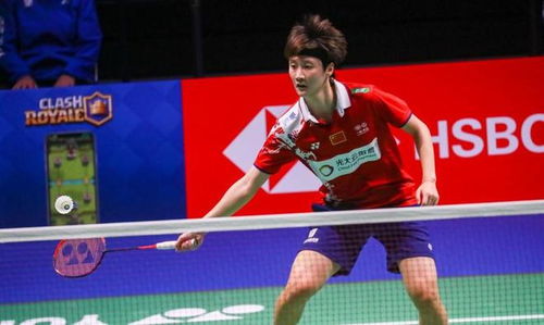 所有人的预 所有人的预