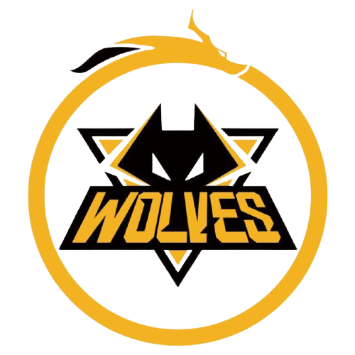 以提升球队 以提升球队