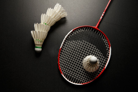 庞峥麟的不 庞峥麟的不