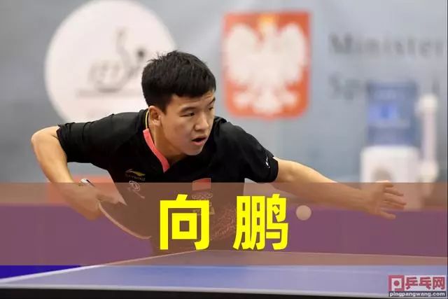 的解读 的解读